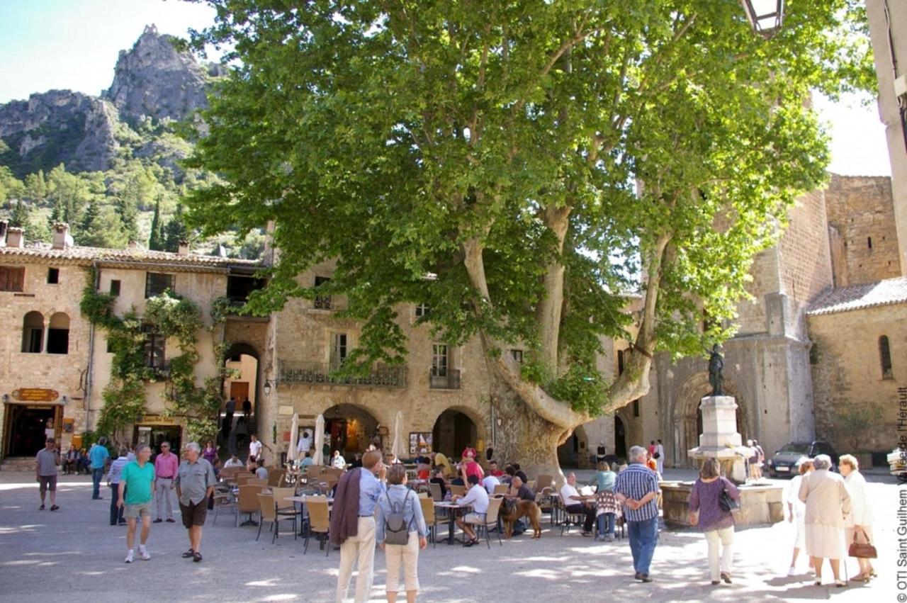 "Le Patio"-Meuble De Tourisme 3 Etoiles -Residence "Les Logis De Beziers"-Garage Optionnel-Coeur De Ville-Plages A 16Km ! 외부 사진